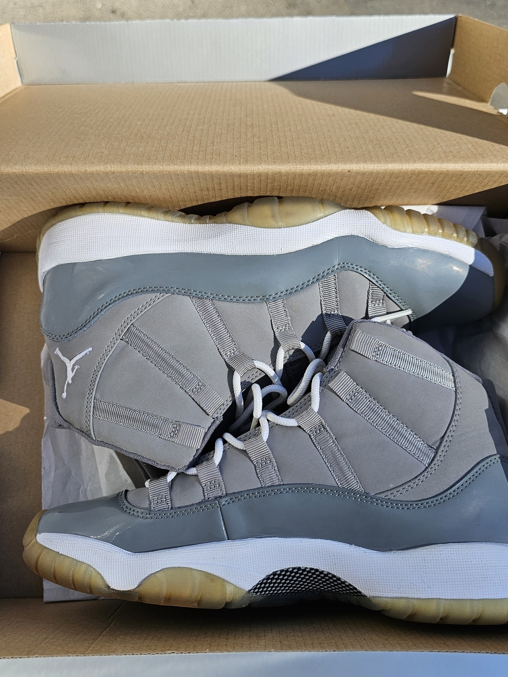 Jordan 11 "Cool Gray"